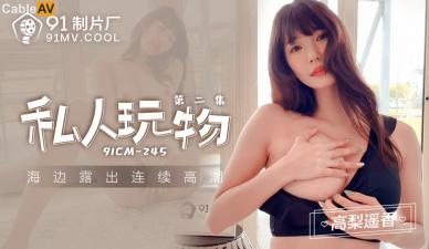 国产AV91CM245私人玩物2高梨遥香的啊!